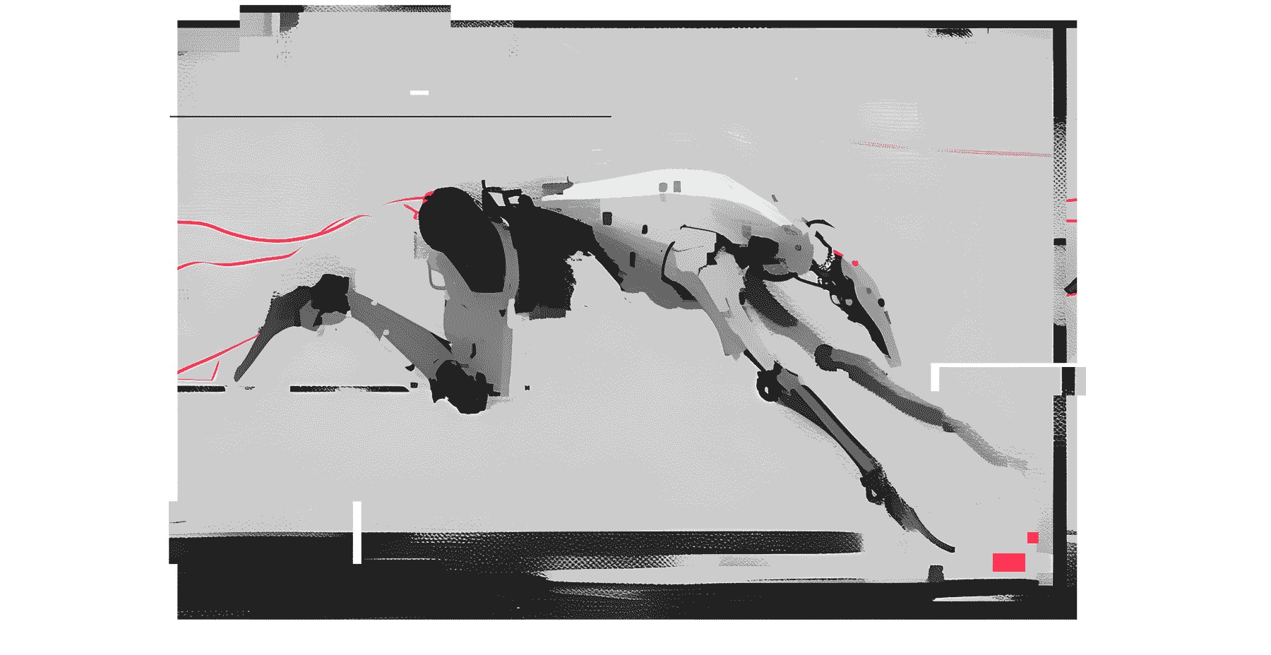 Animated Dog
